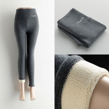 Load image into Gallery viewer, Seamless Fitness Leggings