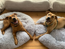 Load image into Gallery viewer, Plush Pet Bed