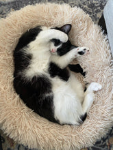 Load image into Gallery viewer, Plush Pet Bed