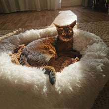 Load image into Gallery viewer, Plush Pet Bed