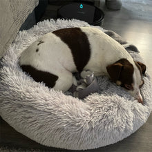 Load image into Gallery viewer, Plush Pet Bed